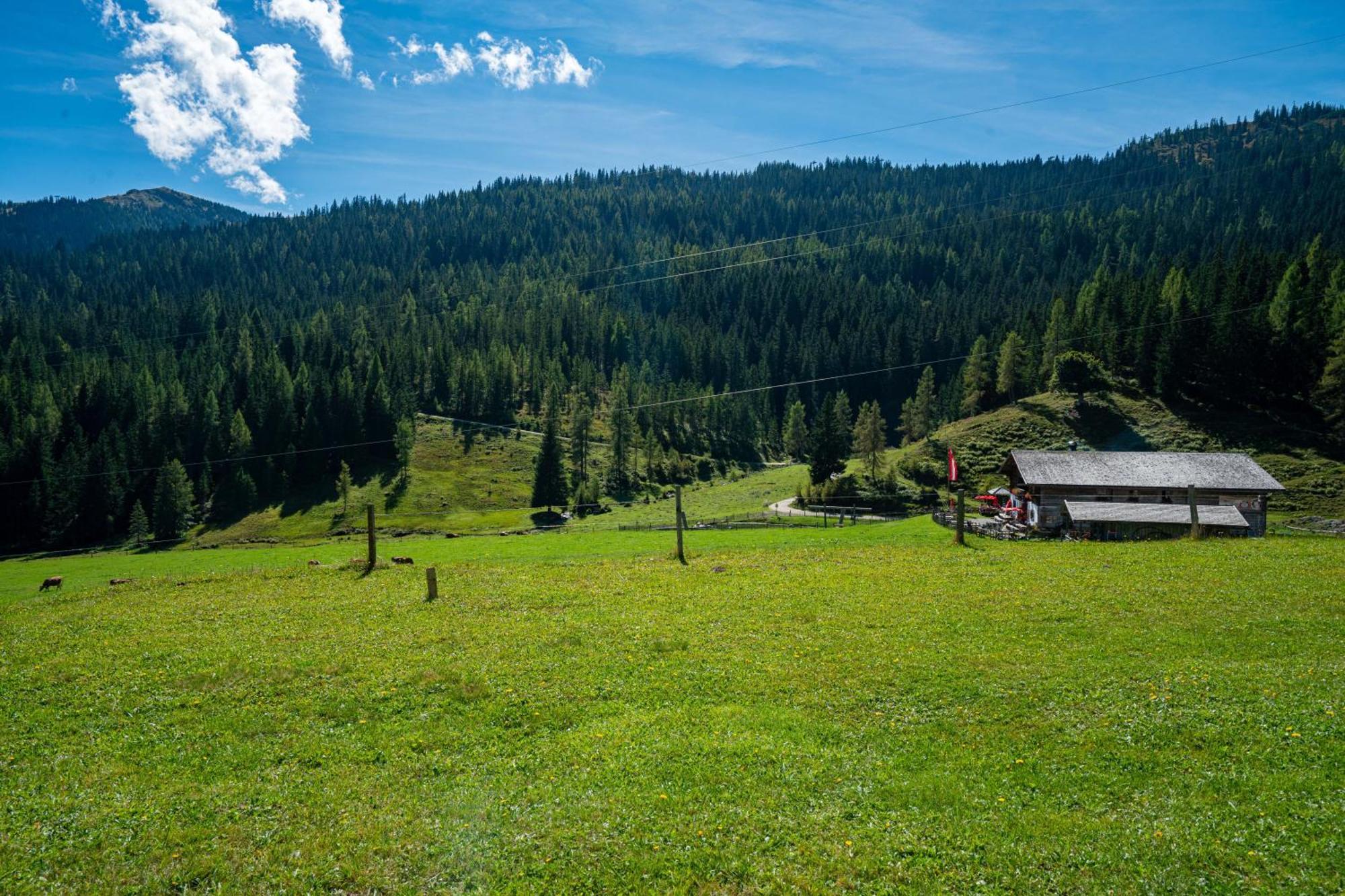Hotel Mittereggalm Mühlbach am Hochkönig Zewnętrze zdjęcie